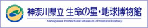 神奈川県立生命の星・地球博物館