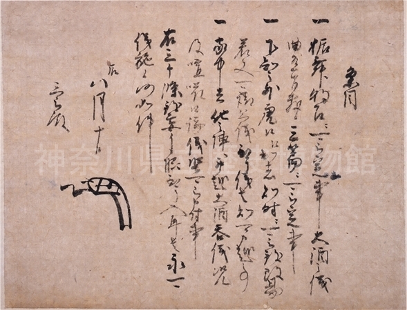 �k�����N����