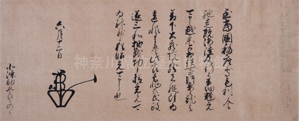 �����`�������