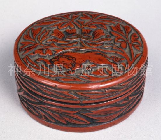 ���q���O������