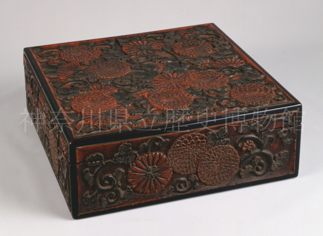 �e�������U����