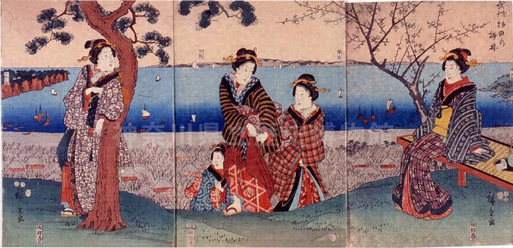 ���B���c�̔~��