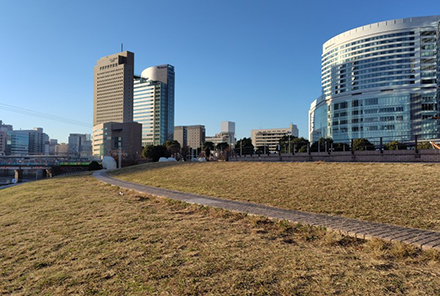 芝生広場の遊歩道