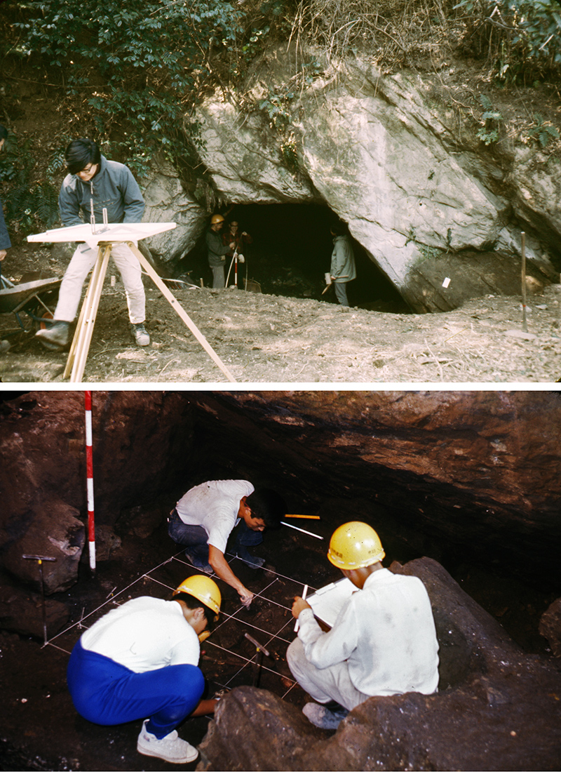三浦市間口洞穴遺跡（みうらしまくちどうけついせき）と神奈川県立博物館の発掘調査