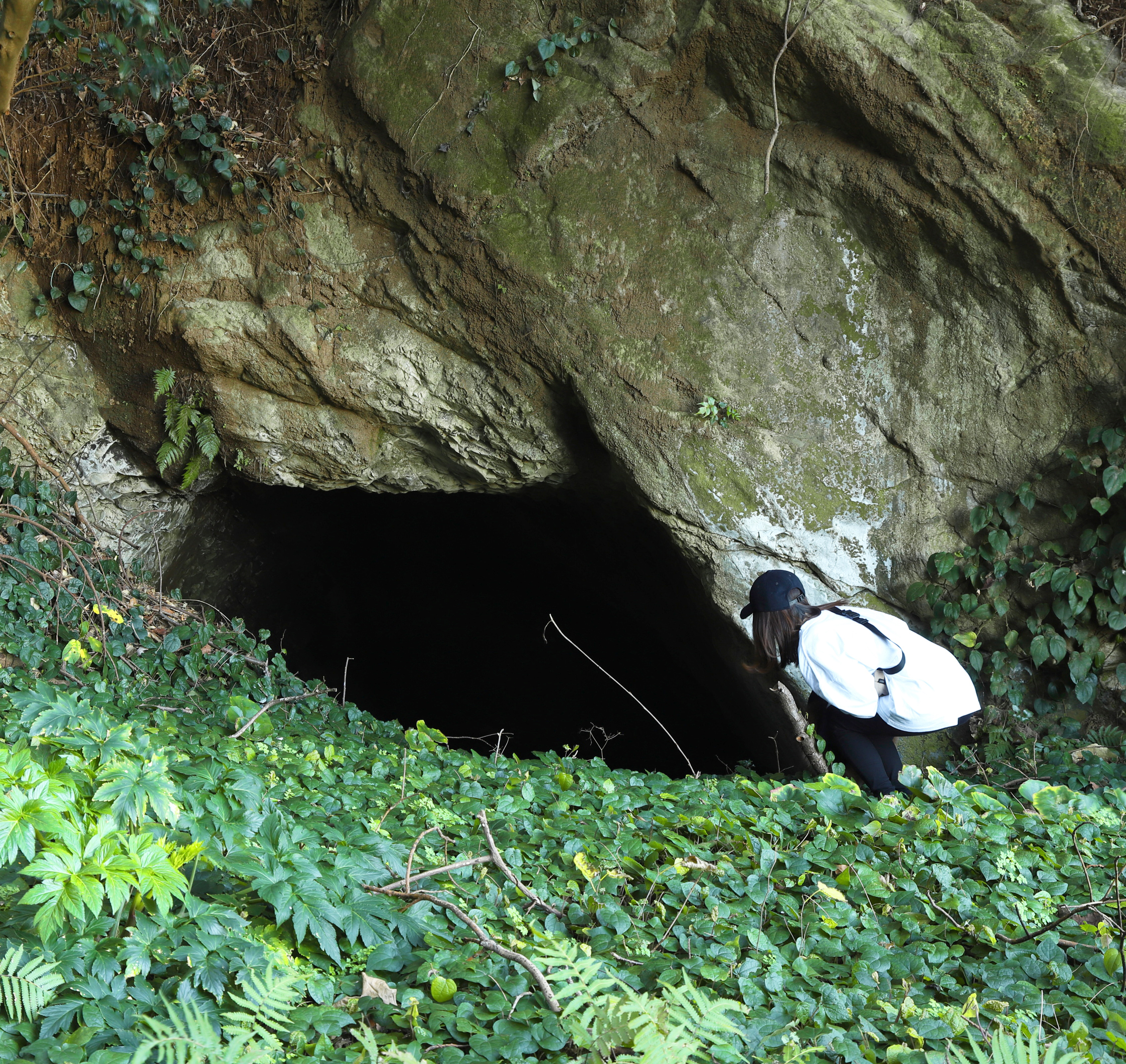 今月の逸品（２月）のご紹介　三浦市間口洞穴遺跡（みうらしまくちどうけついせき）と神奈川県立博物館の発掘調査