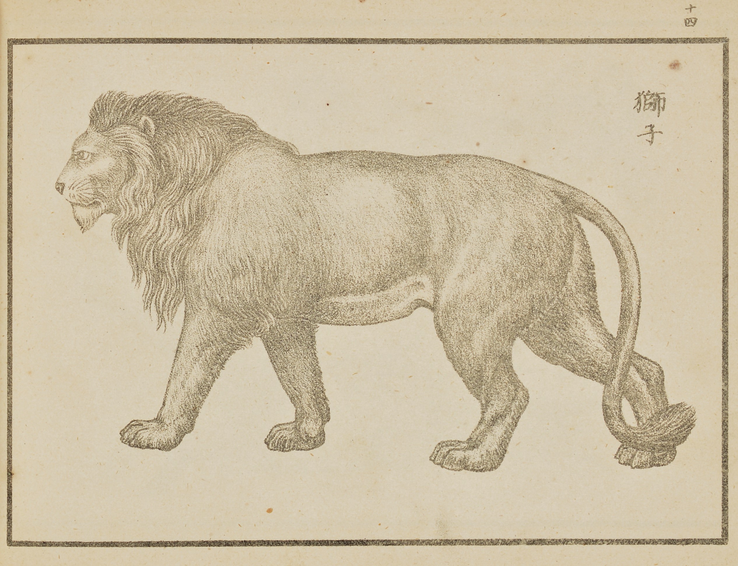 獅子を描いた図